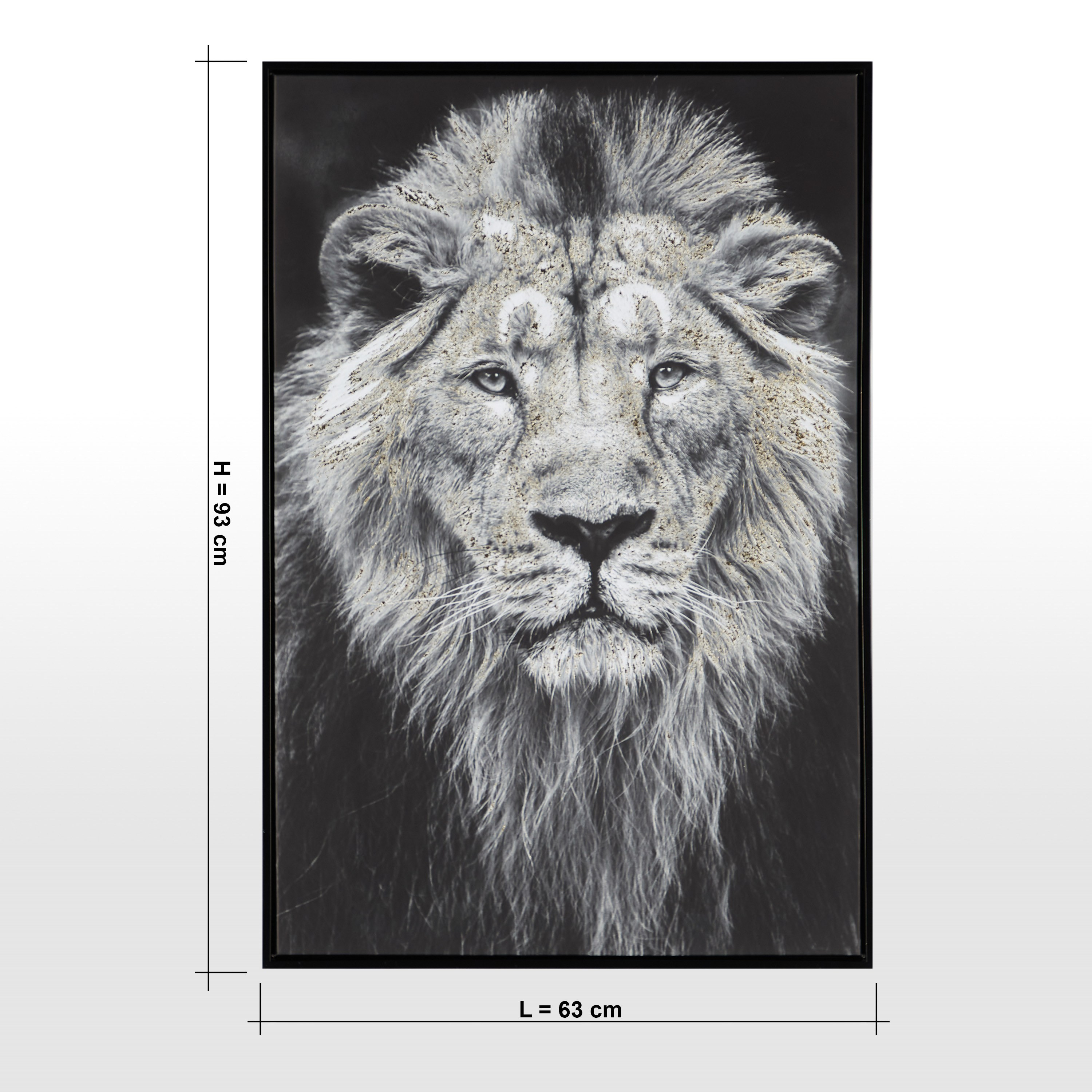 Roar Framed Canvas Wall Art - 63x93 cm-household-walldecorandmirrors-wallart-image-5