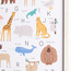 Chaz Animal Framed Canvas Wall Art - 40x60 cm-kids-decorandlighting-decor-wallart-image-3
