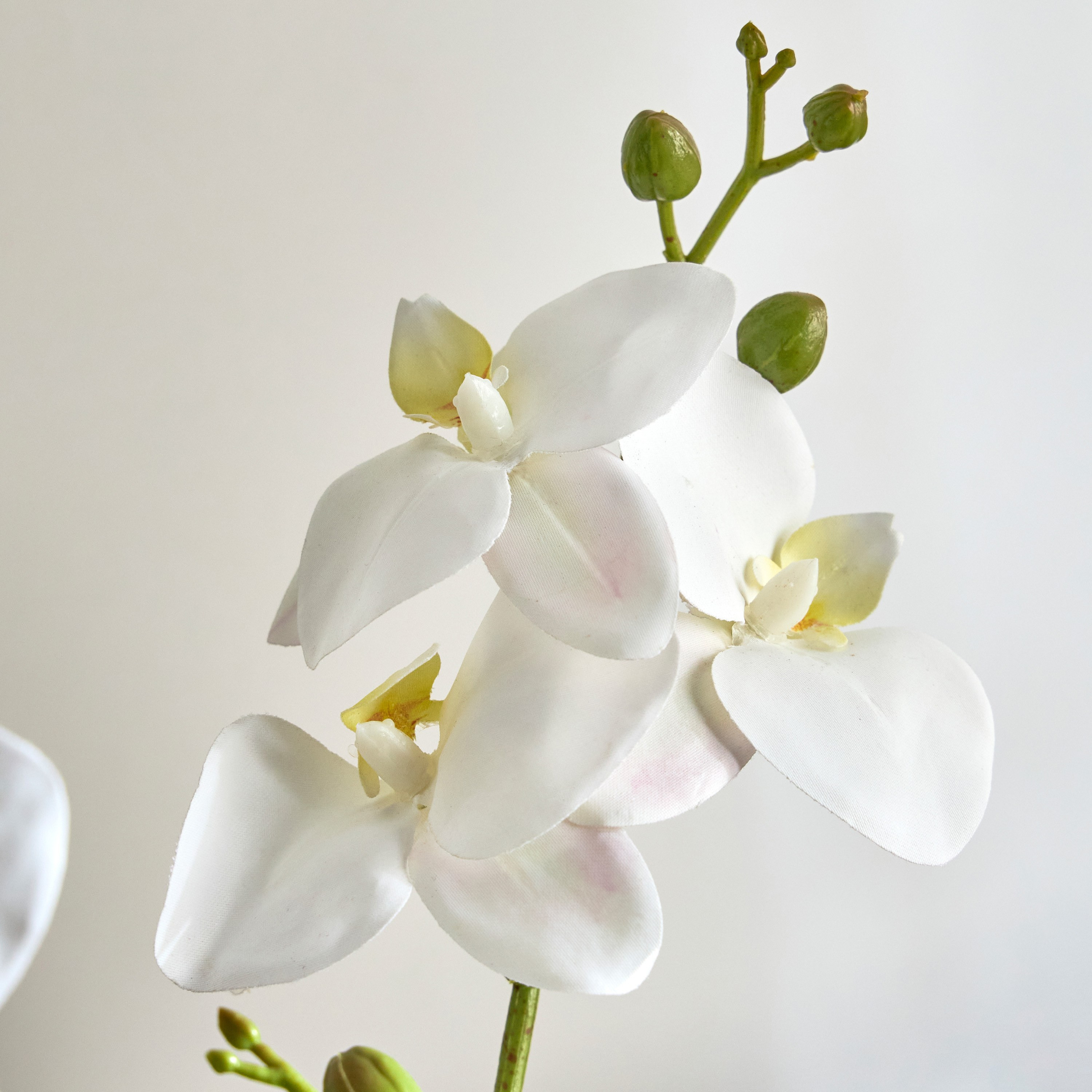 Orchid Plant in Pot - 46 cm-household-gardenandoutdoor-artificialflowersandplants-flowers-image-2