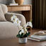 إناء زرع بنبات الأوركيد - 46 سم-binpromo_KSA_Alrajhi_17062026-image-1