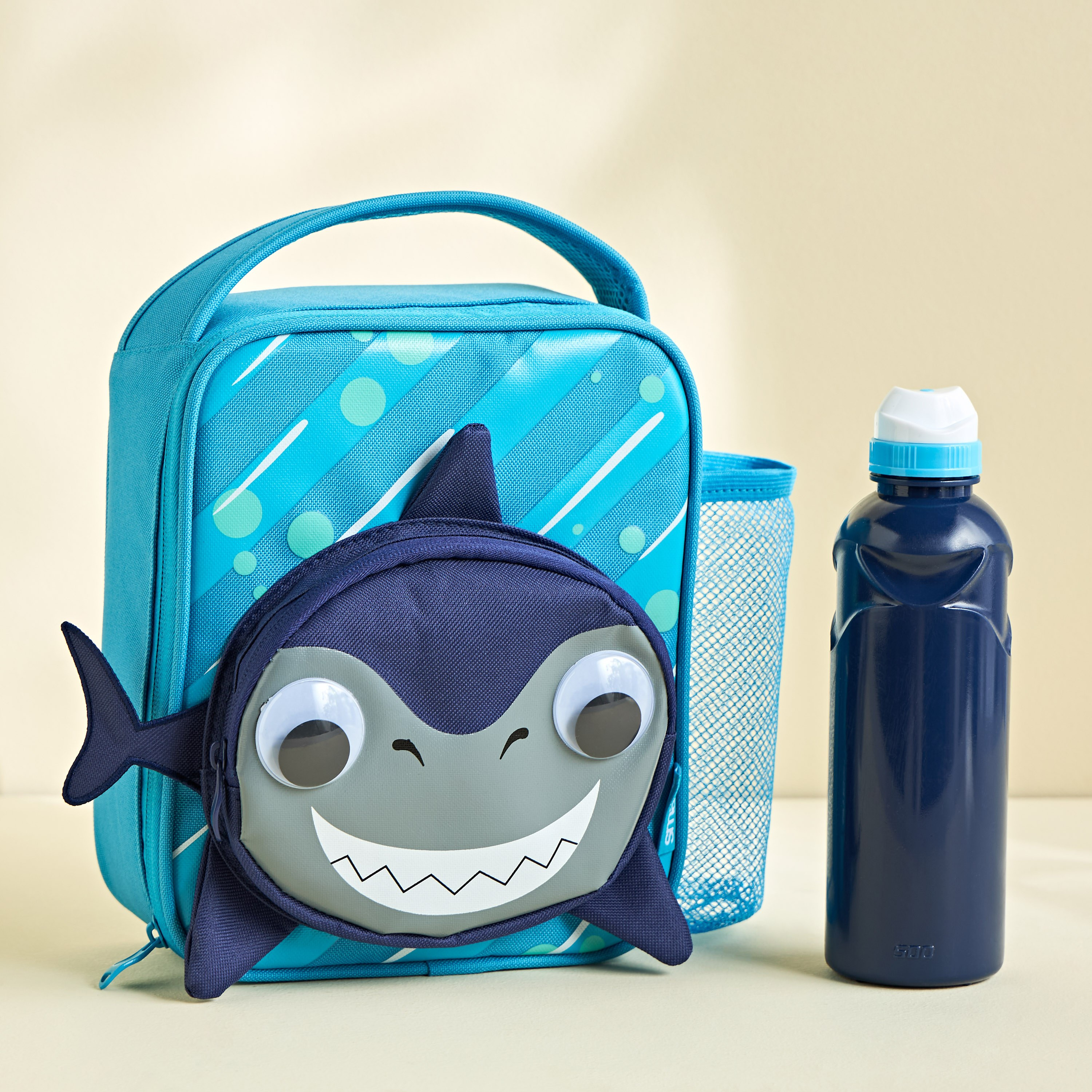 Lunch bag and water bottle online