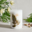 Botanic Unscented Pillar Candle - 60 h-household-homefragrance-candles-image-1