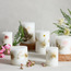 Botanic Unscented Pillar Candle - 60 h-household-homefragrance-candles-image-3