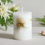 Botanic Unscented Pillar Candle - 30 h-household-homefragrance-candles-image-1
