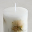 Botanic Unscented Pillar Candle - 30 h-household-homefragrance-candles-image-2