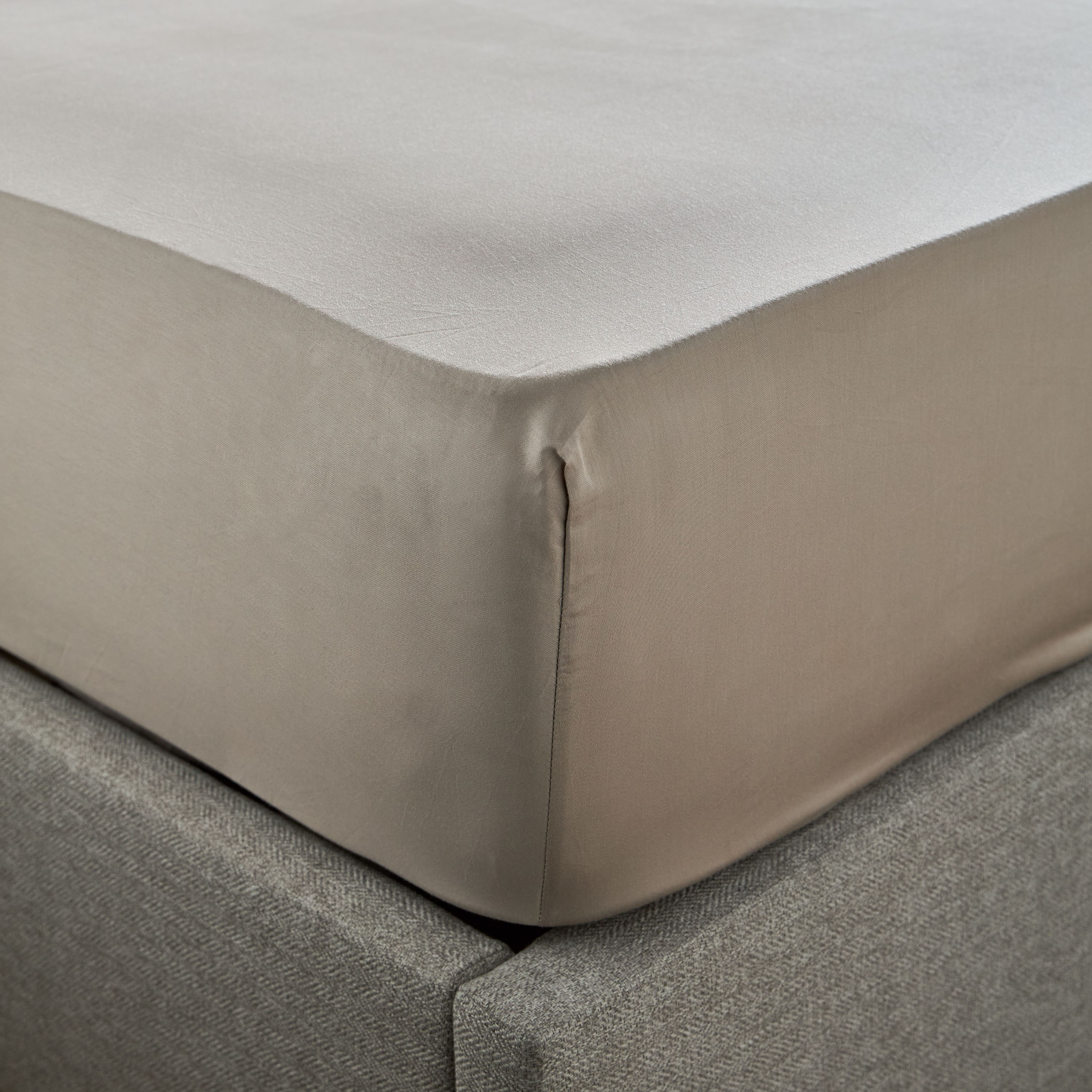 Oasis Cotton Sateen 200 Thread Count Queen Fitted Sheet - 160x200 cm-household-bedding-sheetsandpillowcases-fittedsheets-image-1