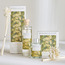 موزع عطور بأعواد برفيوم بورتريتس - ريتيلينج أوف كلاسيكس - 100 مل-household-homefragrance-reeddiffusers-image-1