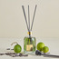 Oriental Firenze Oud Bergamot Reed Diffuser - 250 ml-household-homefragrance-reeddiffusers-image-1