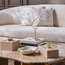 صندوق ديكور- إيزابيل-household-decor-boxesandtrays-image-1