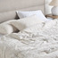 Rupert Cotton Jacquard 230 Thread Count 3-Piece Super King Comforter Set - 240x260 cm-household-bedding-comfortersandbedspreads-comforters-image-5