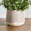 Brizo Ceramic Planter - 13 cm-binpromo_KSA_Alrajhi_17062026-image-1