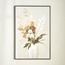 زينة حائط كانفاس مؤطرة - سيرين- 80x120 سم-household-walldecorandmirrors-wallart-image-3
