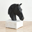 Stallion Horse Face Decorative Accent-PROMO_HC_SA_TESTBINPROMO_080926-image-1