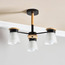 ثريا زجاجية بـ 3 مصابيح - إليانا-household-lighting-ceilinglamps-chandeliers-image-3