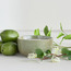 Cottage Lime Basil and Mandarin Scented Jar Candle - 25 H-binpromo_ALLBANKS_OMN_14032025-image-1
