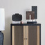 زينة ديكور- ويلوما-household-decor-decorativeobjectsandsculptures-image-1
