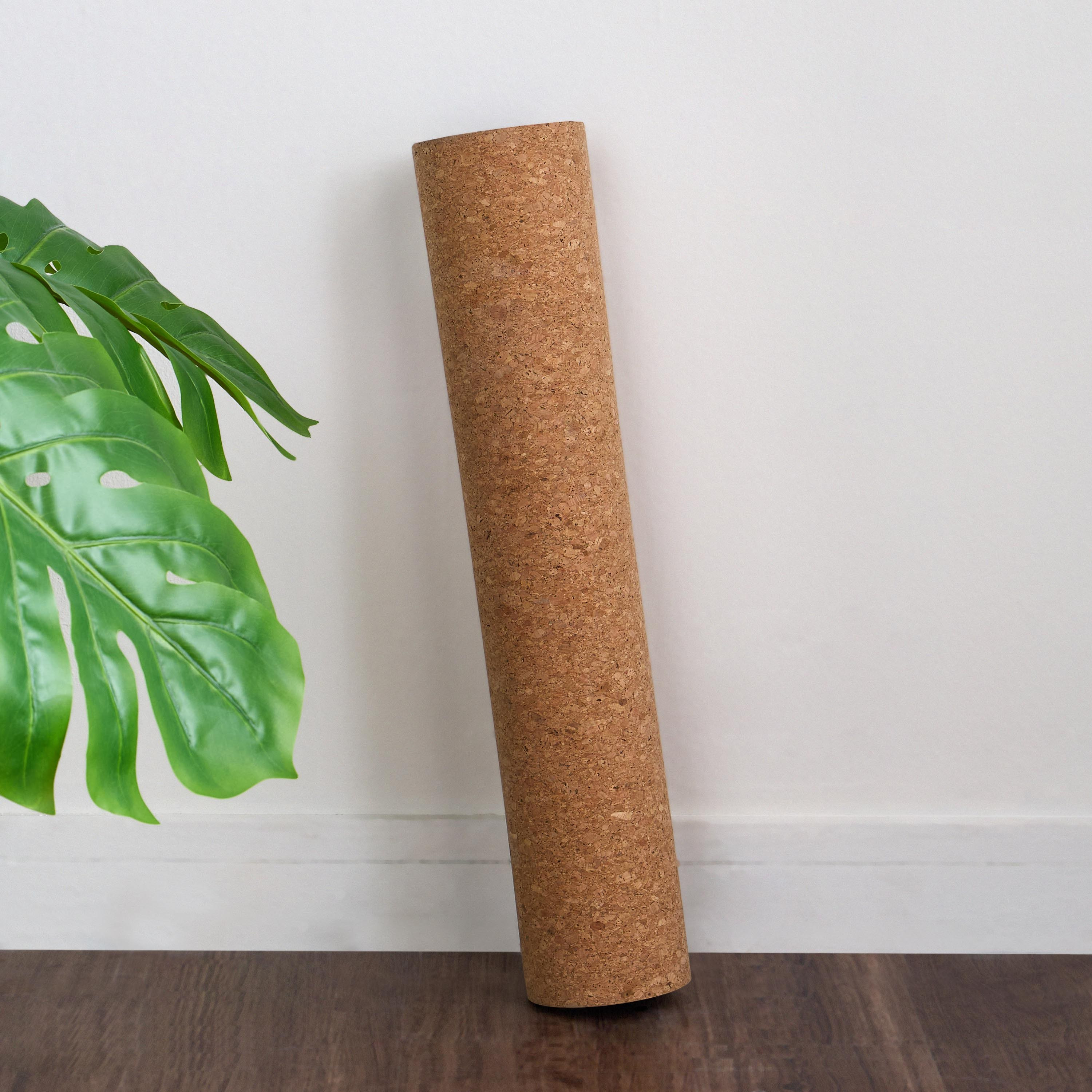Arise Yoga Mat - 61x183 cm-household-rugsandcarpets-yogamats-image-1