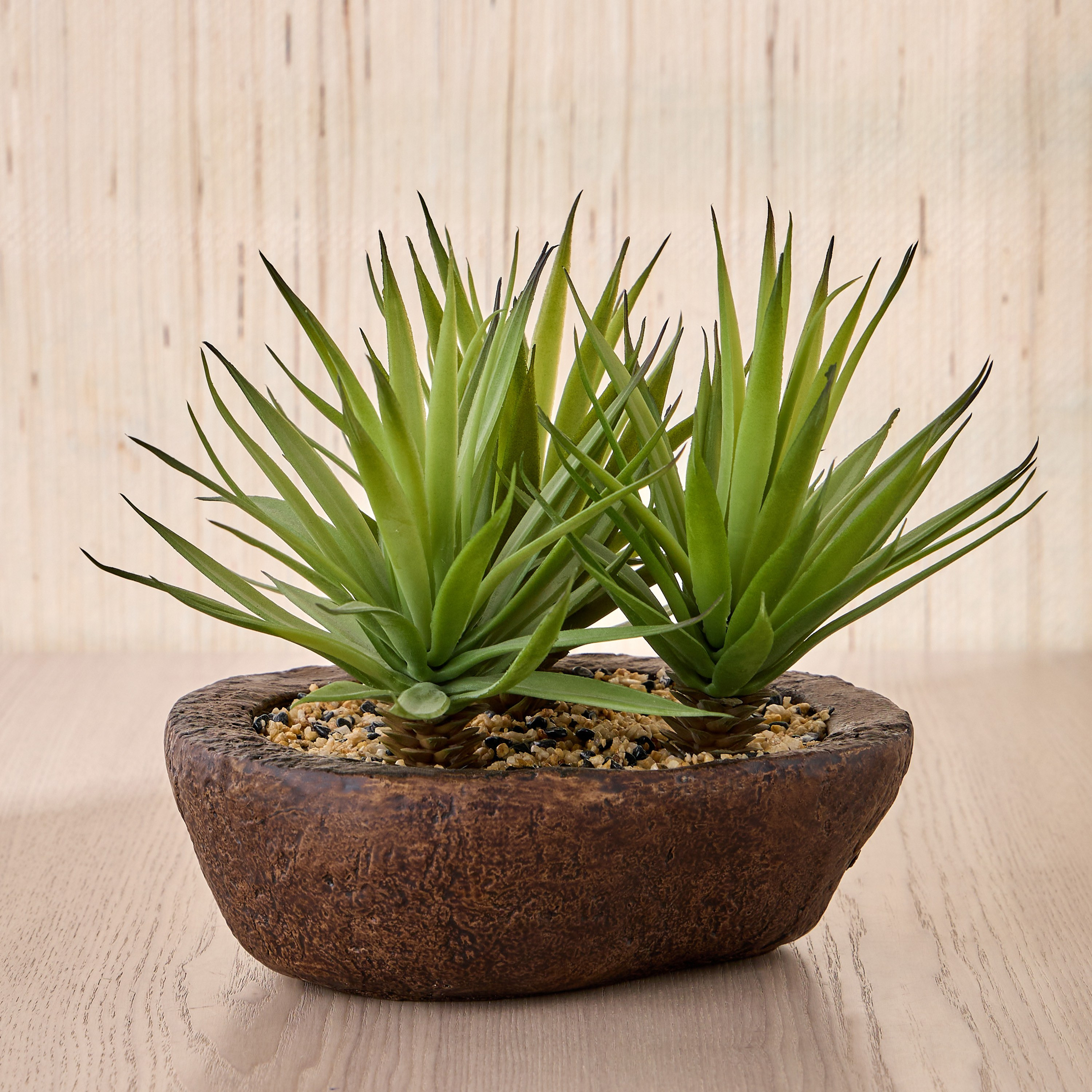 نبات عشبة السيف في وعاء تيرا - أمبر - 19 سم-household-gardenandoutdoor-artificialplants-succulents-image-1