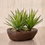 نبات عشبة السيف في وعاء تيرا - أمبر - 19 سم-household-gardenandoutdoor-artificialplants-succulents-image-3