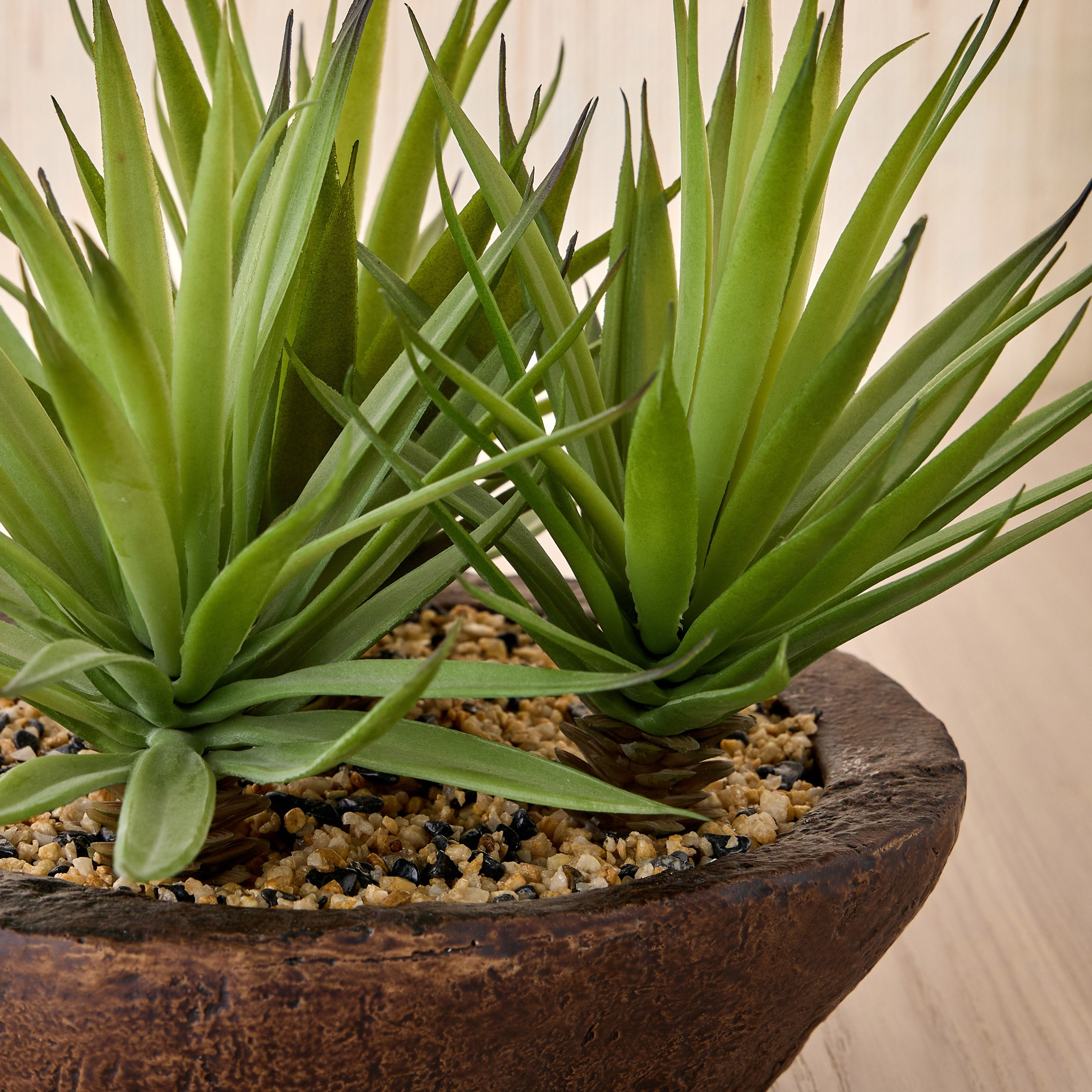 نبات عشبة السيف في وعاء تيرا - أمبر - 19 سم-household-gardenandoutdoor-artificialplants-succulents-image-2