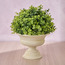 Chantilly Eden Eucalyptus Shrub in Pot - 29 cm-household-gardenandoutdoor-artificialplants-pottedplants-image-1