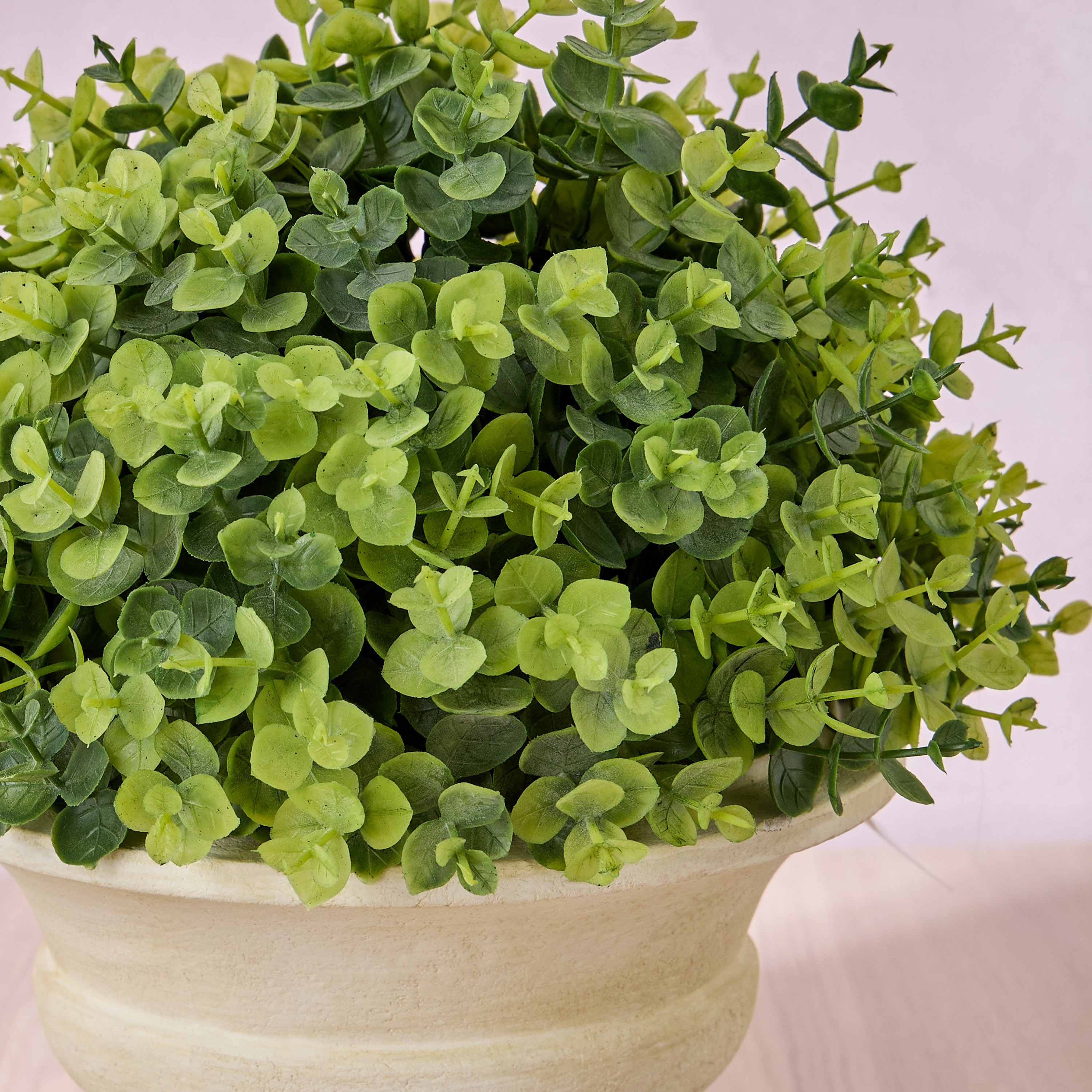 Chantilly Eden Eucalyptus Shrub in Pot - 29 cm-household-gardenandoutdoor-artificialplants-pottedplants-image-2