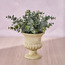 Chantilly Eden Eucalyptus Plant in Pot - 30 cm-household-gardenandoutdoor-artificialplants-pottedplants-image-1