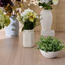 Chantilly Cora Eucalyptus Plant in Pot - 20 cm-household-gardenandoutdoor-artificialplants-pottedplants-image-3