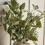 Chantilly Greens Eucalyptus in Ceramic Pot - 70 cm-household-gardenandoutdoor-artificialplants-pottedplants-image-2