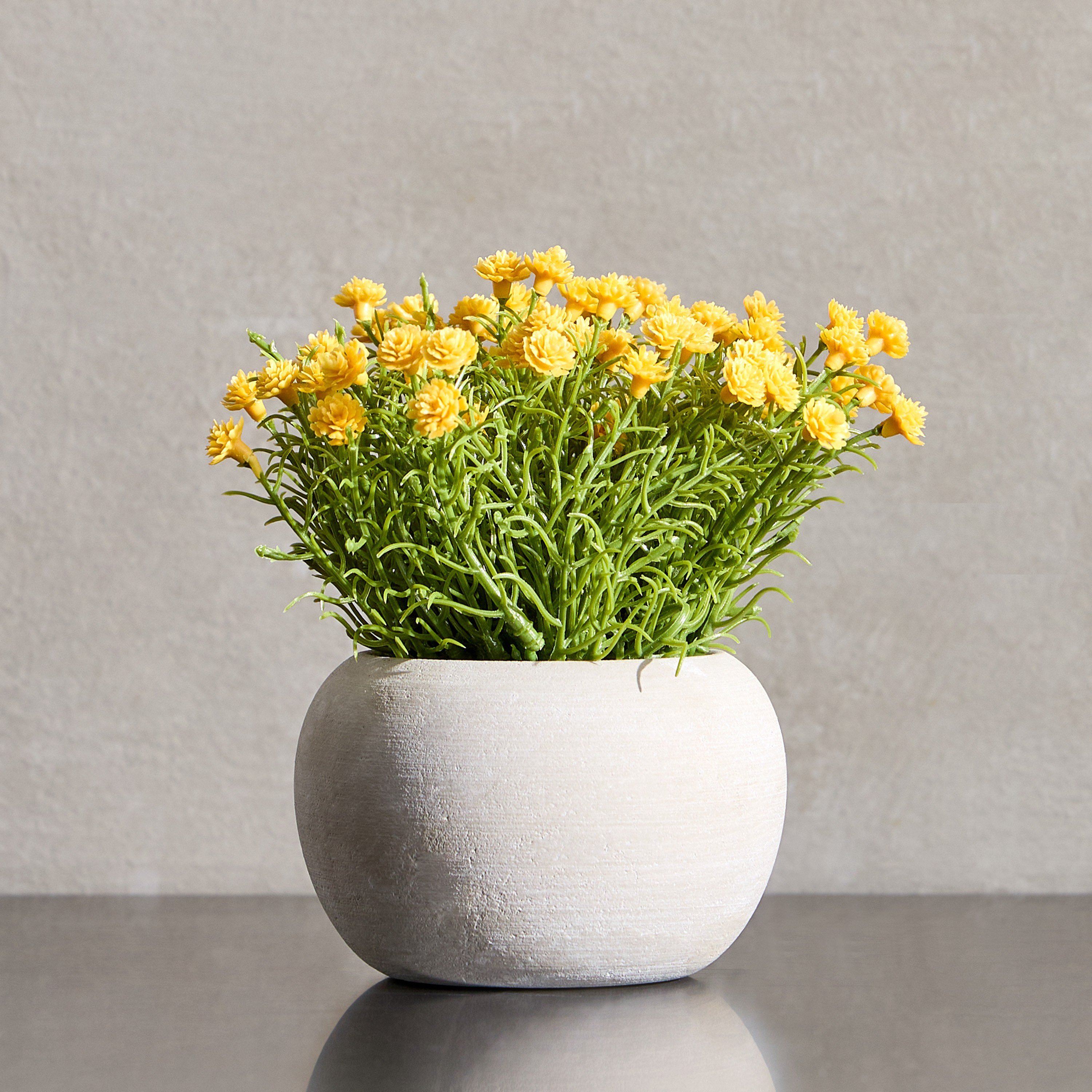 Terra Shale Babysbreath Mini Plant in a Pot - 15 cm-household-gardenandoutdoor-artificialflowersandplants-flowers-image-1