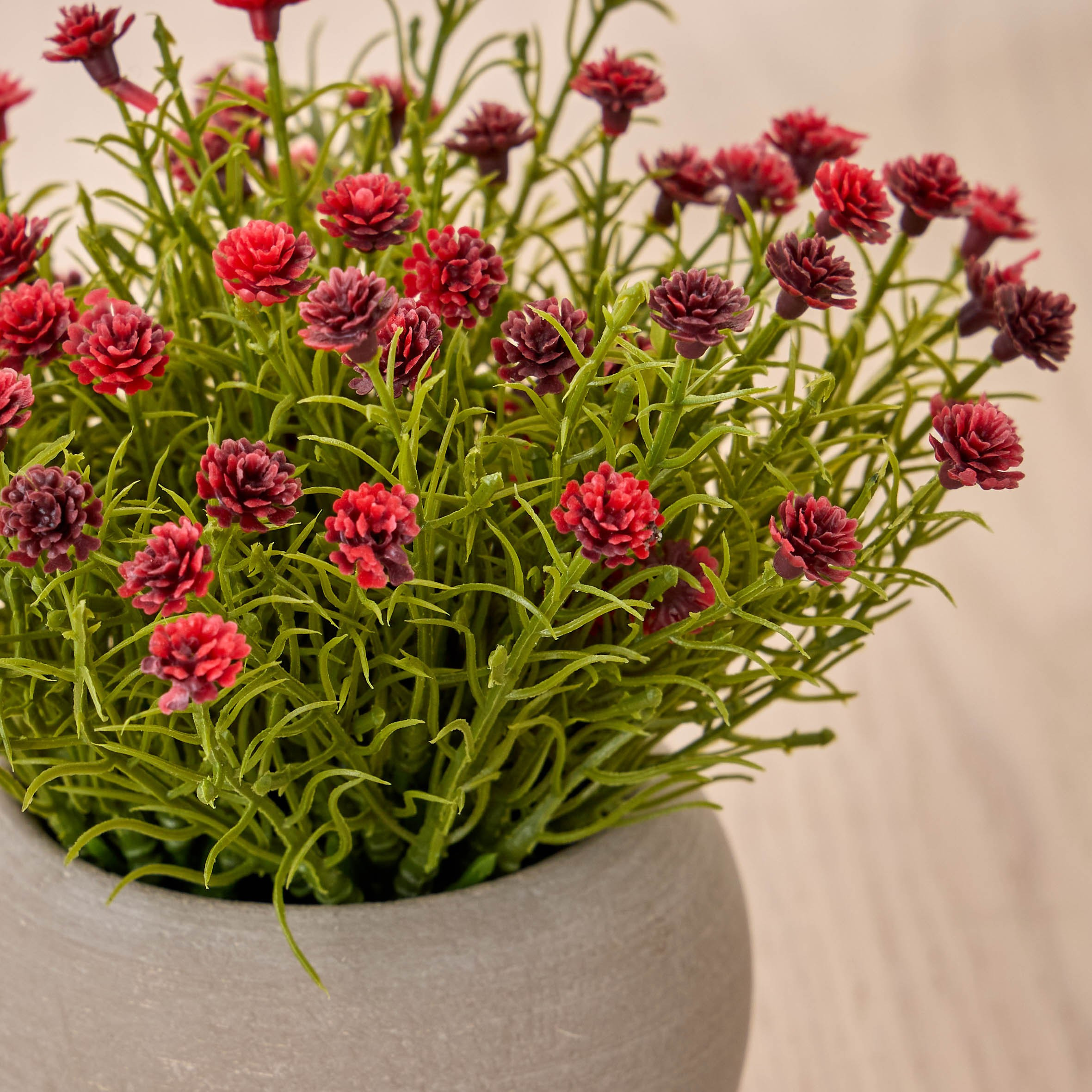 Terra Shale Babysbreath Mini Plant in a Pot - 15 cm-household-gardenandoutdoor-artificialflowersandplants-flowers-image-2