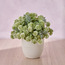 زهرة برية في وعاء كورا - شانتيلي-household-gardenandoutdoor-artificialflowersandplants-flowers-image-6