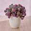 Chantilly Cora Wild Flower in Pot-household-gardenandoutdoor-artificialflowersandplants-flowers-image-1