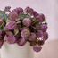 Chantilly Cora Wild Flower in Pot-household-gardenandoutdoor-artificialflowersandplants-flowers-image-2