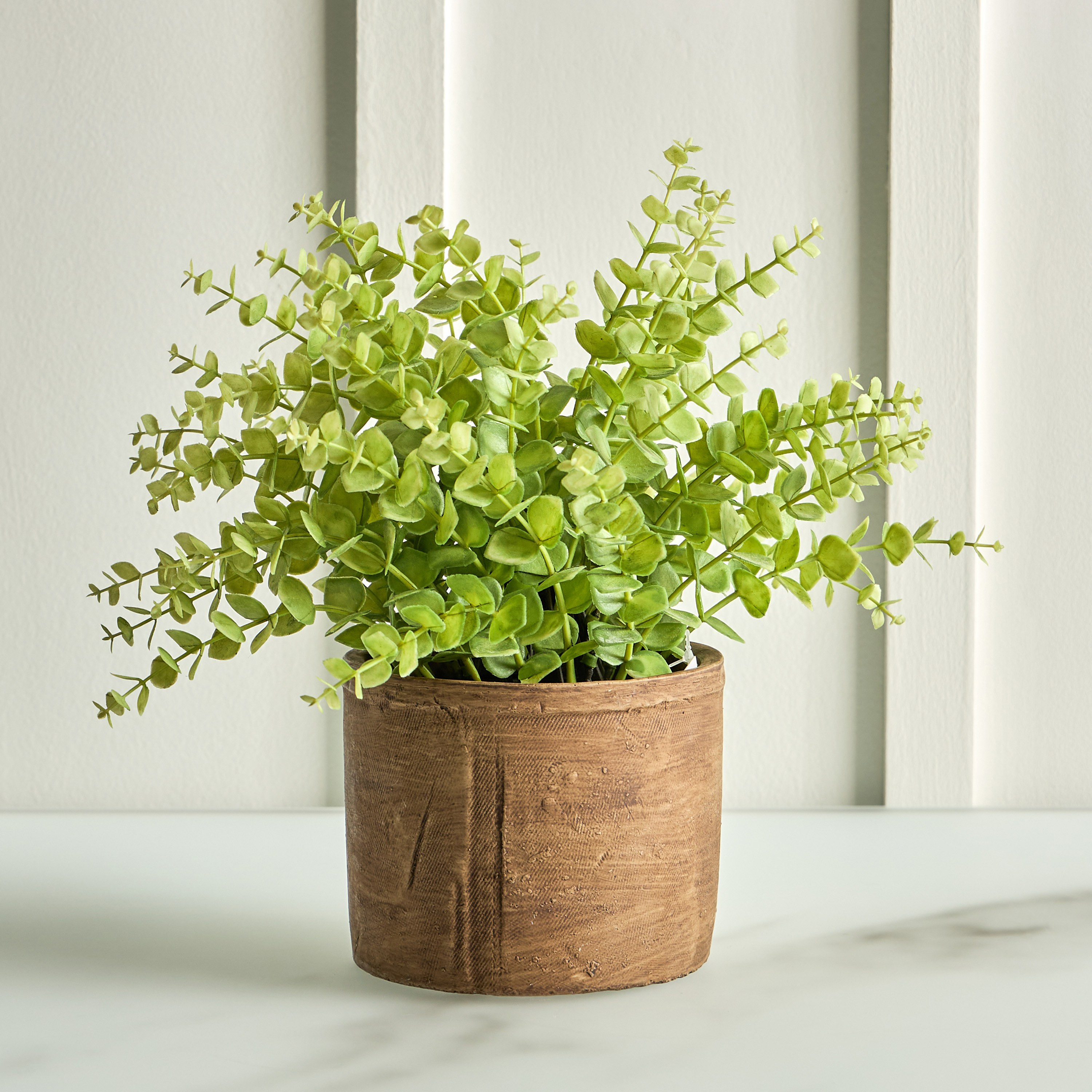 Terra Umber Privet Plant in Pot - 28 cm-household-gardenandoutdoor-artificialplants-pottedplants-image-1