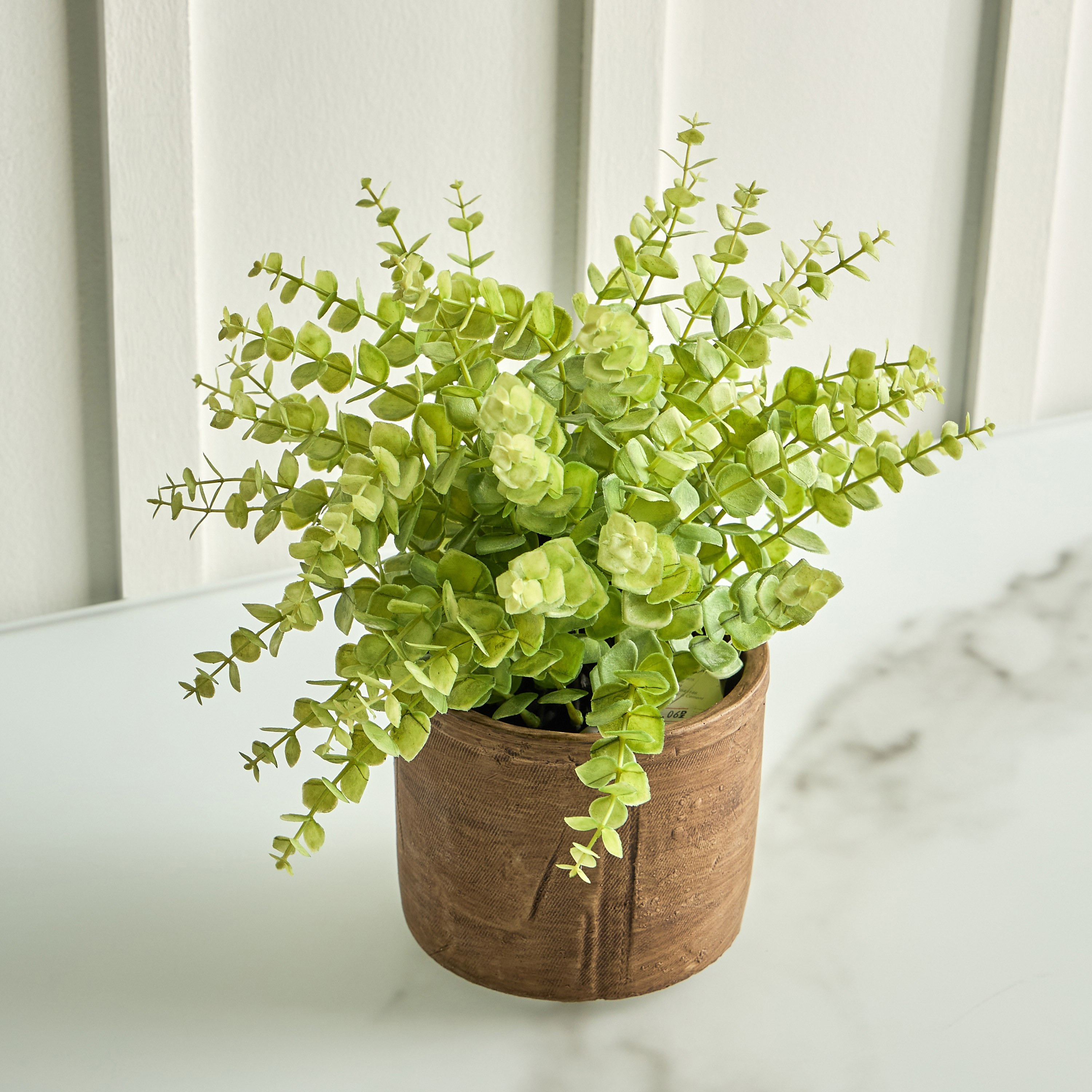 Terra Umber Privet Plant in Pot - 28 cm-household-gardenandoutdoor-artificialplants-pottedplants-image-2