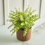 Terra Umber Privet Plant in Pot - 28 cm-household-gardenandoutdoor-artificialplants-pottedplants-image-2