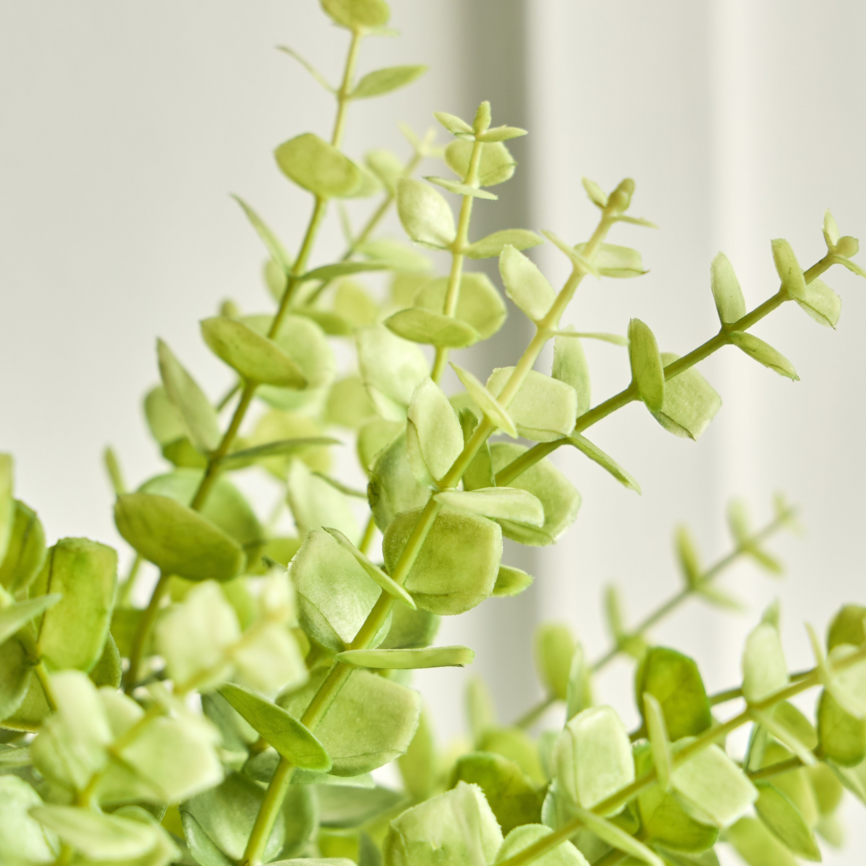 Terra Umber Privet Plant in Pot - 28 cm-household-gardenandoutdoor-artificialplants-pottedplants-image-3