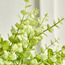 Terra Umber Privet Plant in Pot - 28 cm-household-gardenandoutdoor-artificialplants-pottedplants-image-3