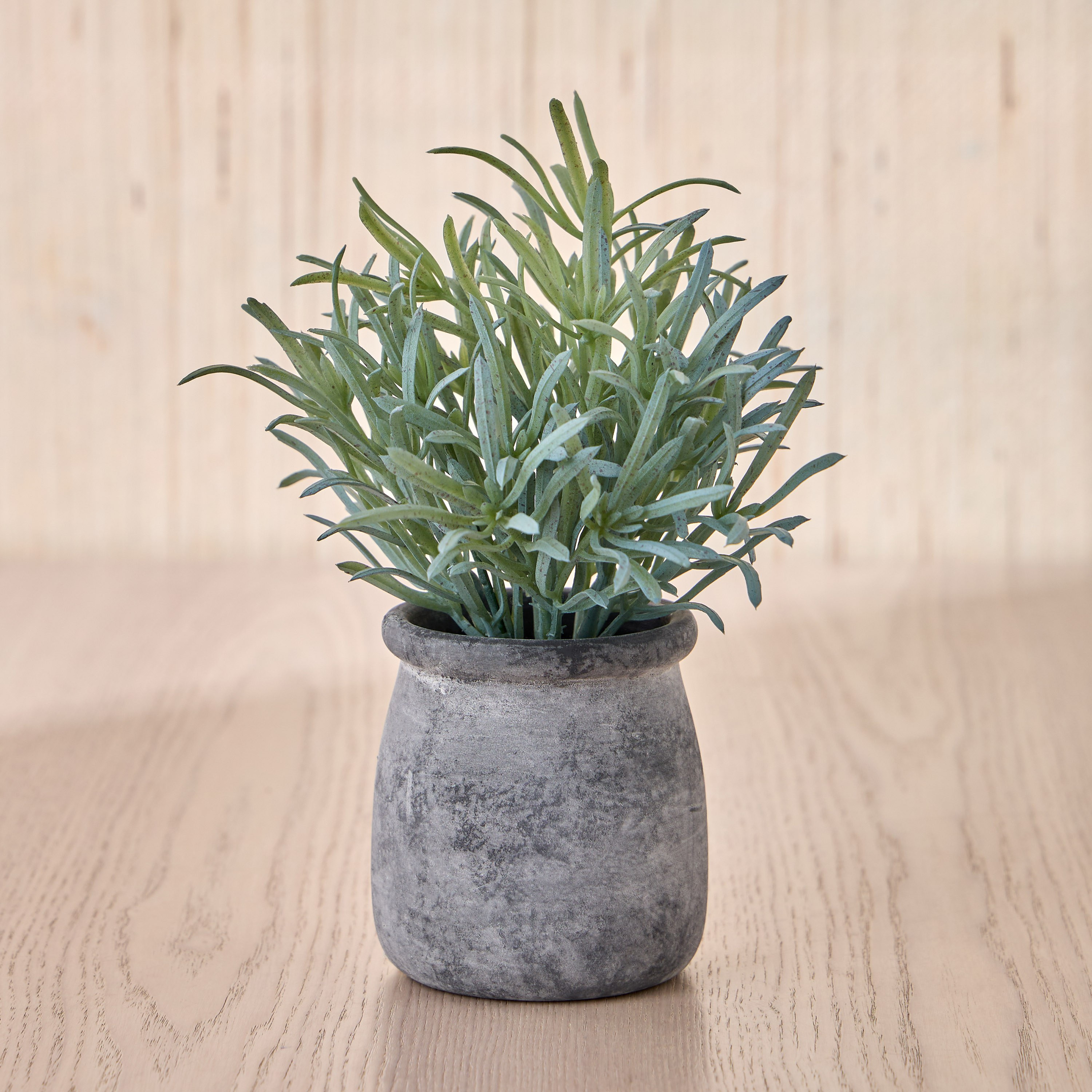 Slate Grass Plant in Pot - 17 cm-household-gardenandoutdoor-artificialplants-pottedplants-image-1