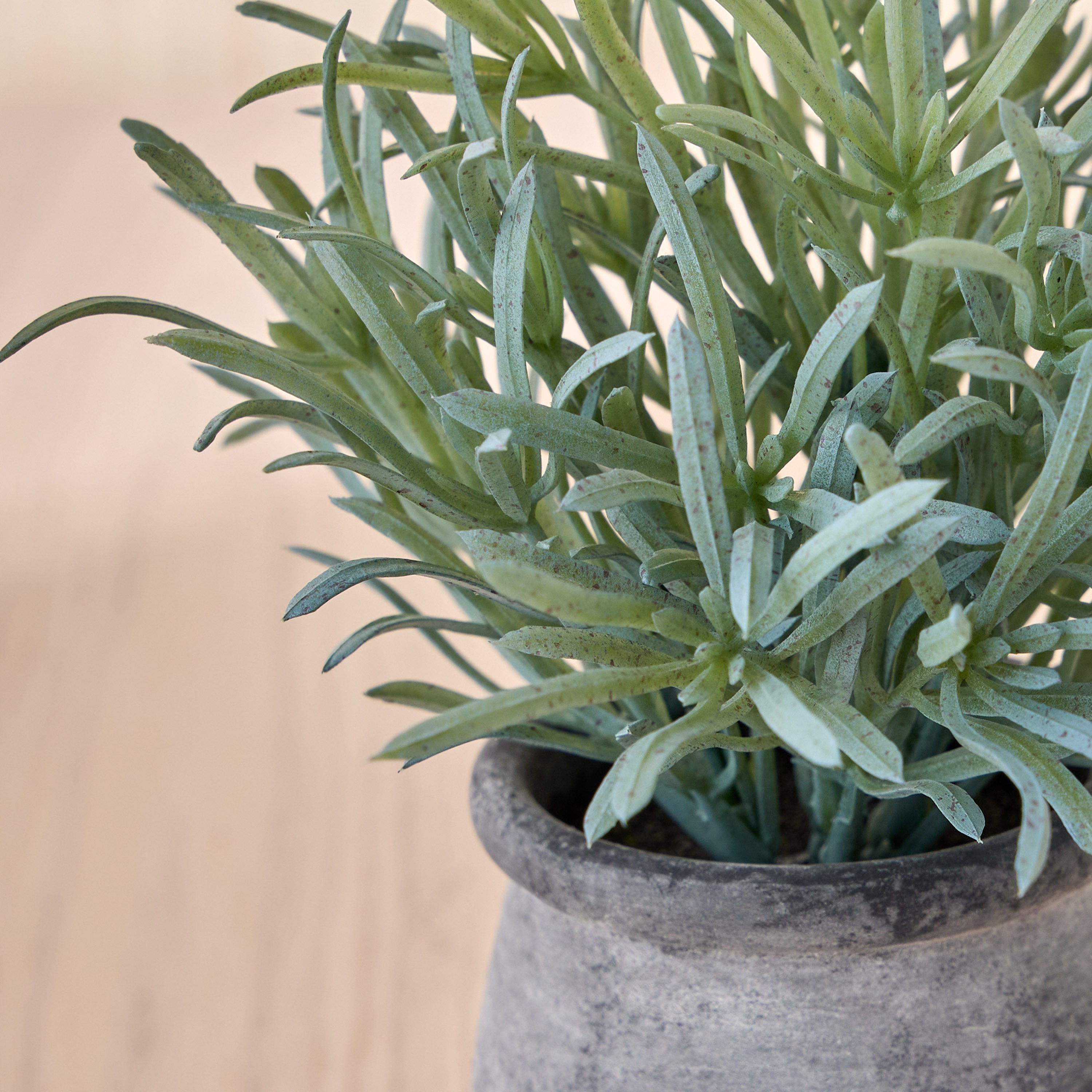 Slate Grass Plant in Pot - 17 cm-household-gardenandoutdoor-artificialplants-pottedplants-image-2