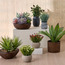 Slate Grass Plant in Pot - 17 cm-household-gardenandoutdoor-artificialplants-pottedplants-image-3