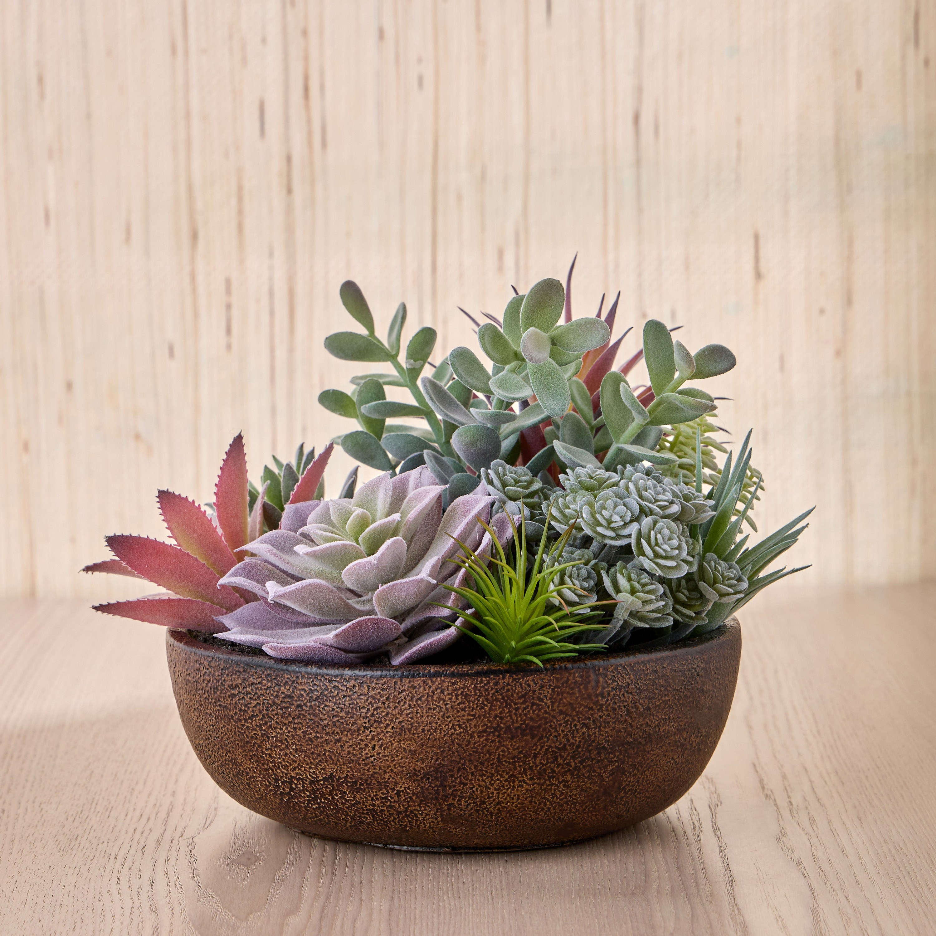 Terra Umber Succulents Arrangement in Pot - 19 cm-household-gardenandoutdoor-artificialplants-succulents-image-1
