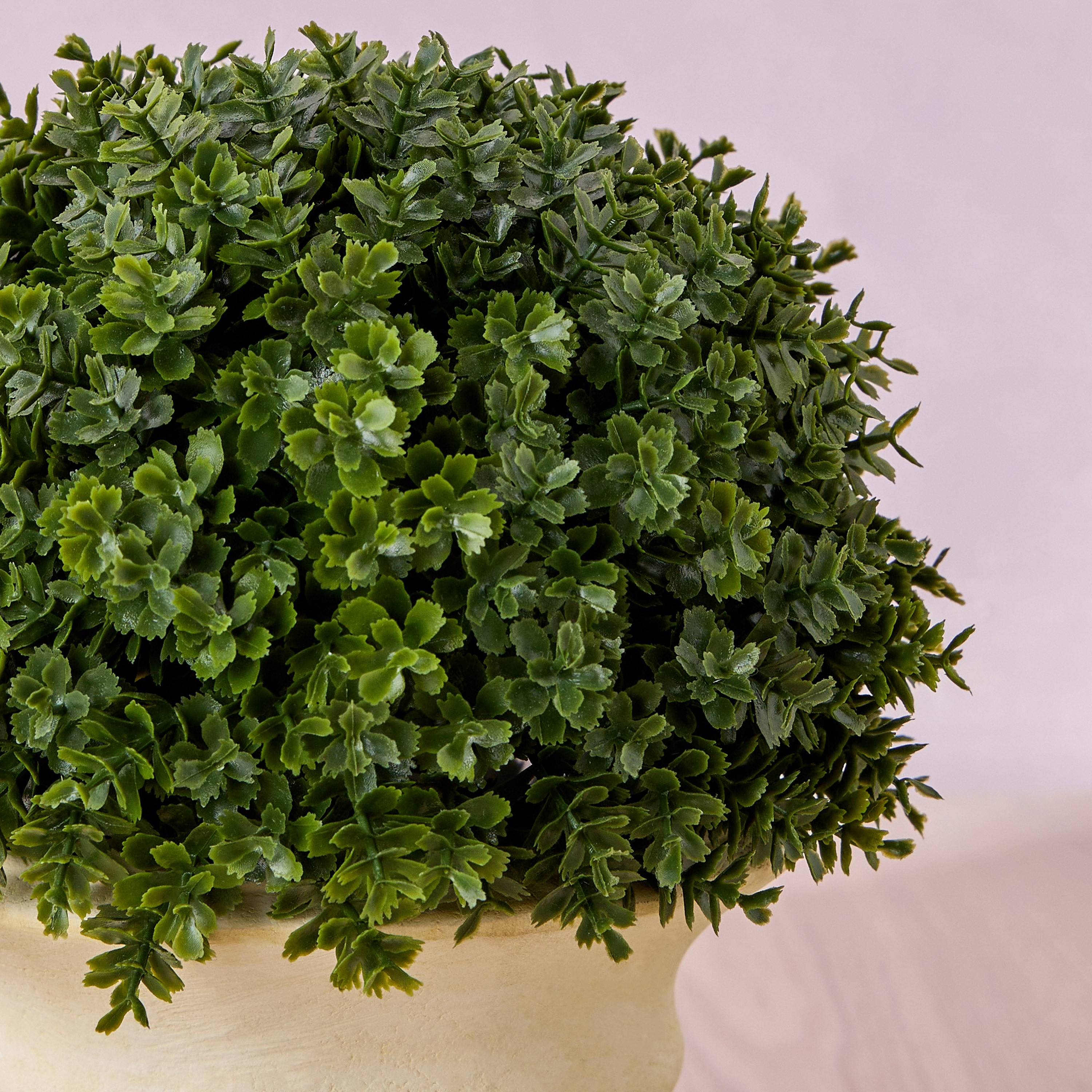 Chantilly Eden Herb Shrub in Pot - 20 cm-household-gardenandoutdoor-artificialplants-pottedplants-image-2