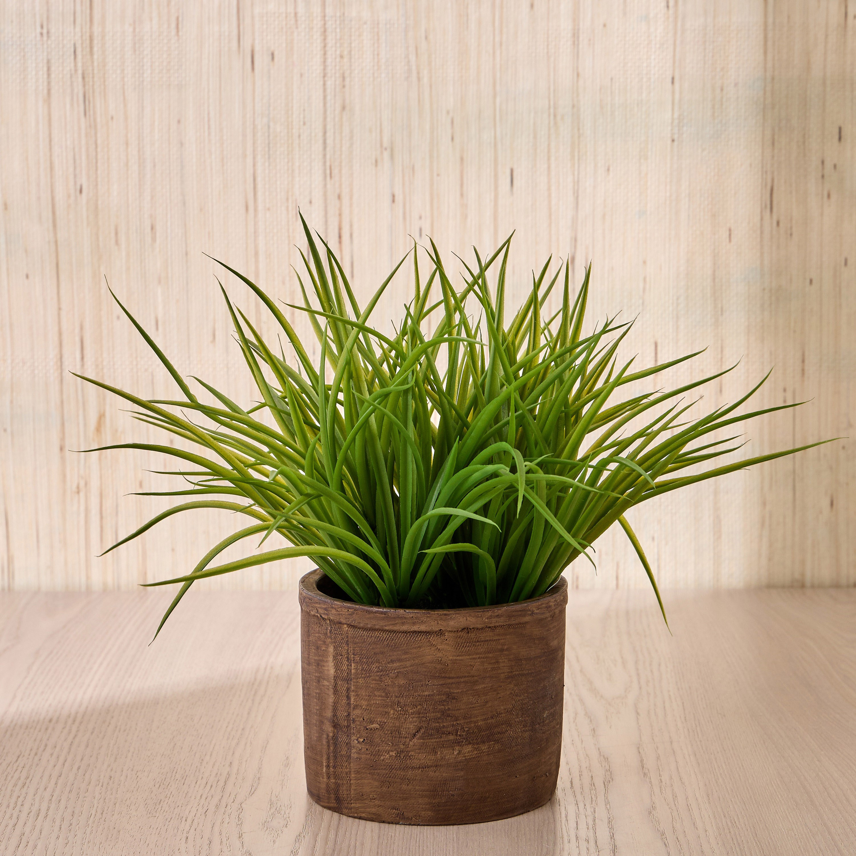 Terra Umber Grass Plant in Pot - 30 cm-household-gardenandoutdoor-artificialplants-pottedplants-image-1