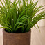 Terra Umber Grass Plant in Pot - 30 cm-household-gardenandoutdoor-artificialplants-pottedplants-image-2