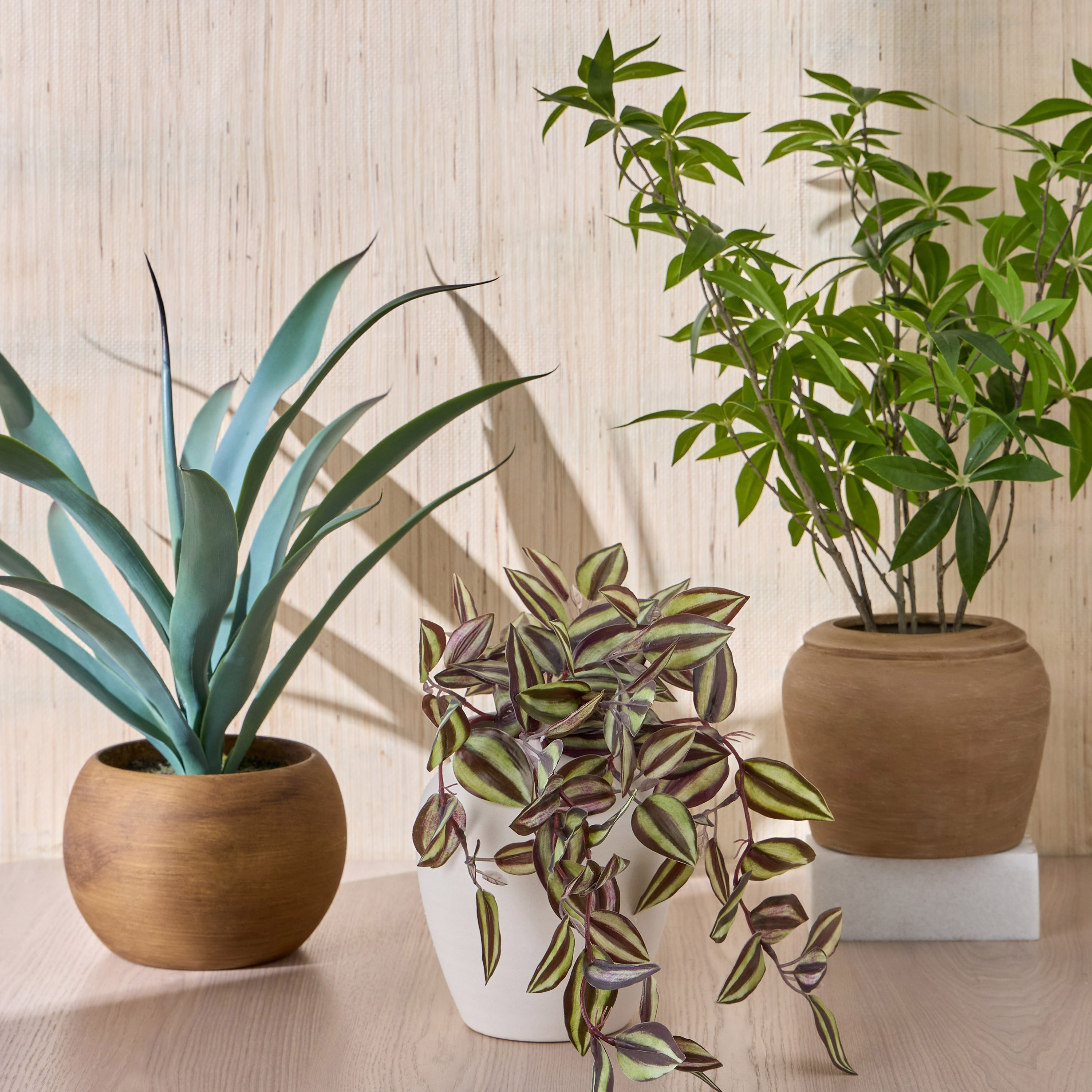 Chantilly Urn Ivy Zebrina Plant in Pot - 23 cm-household-gardenandoutdoor-artificialplants-pottedplants-image-3