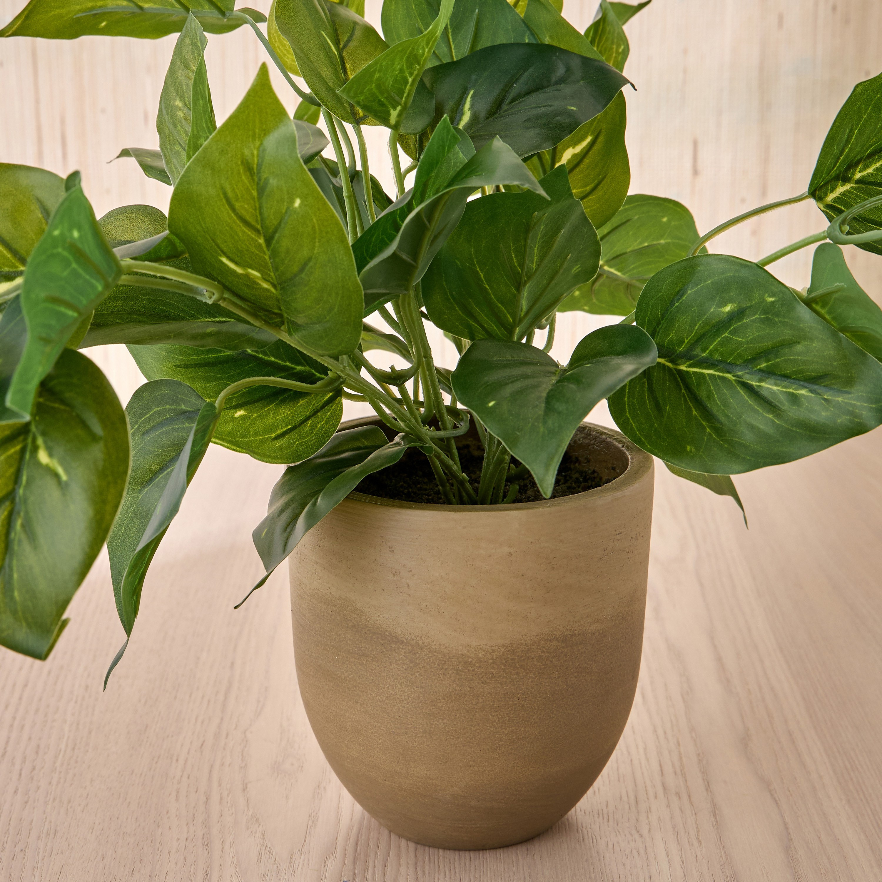 Terra Umber Ivy Plant in Pot - 38 cm-household-gardenandoutdoor-artificialplants-pottedplants-image-2