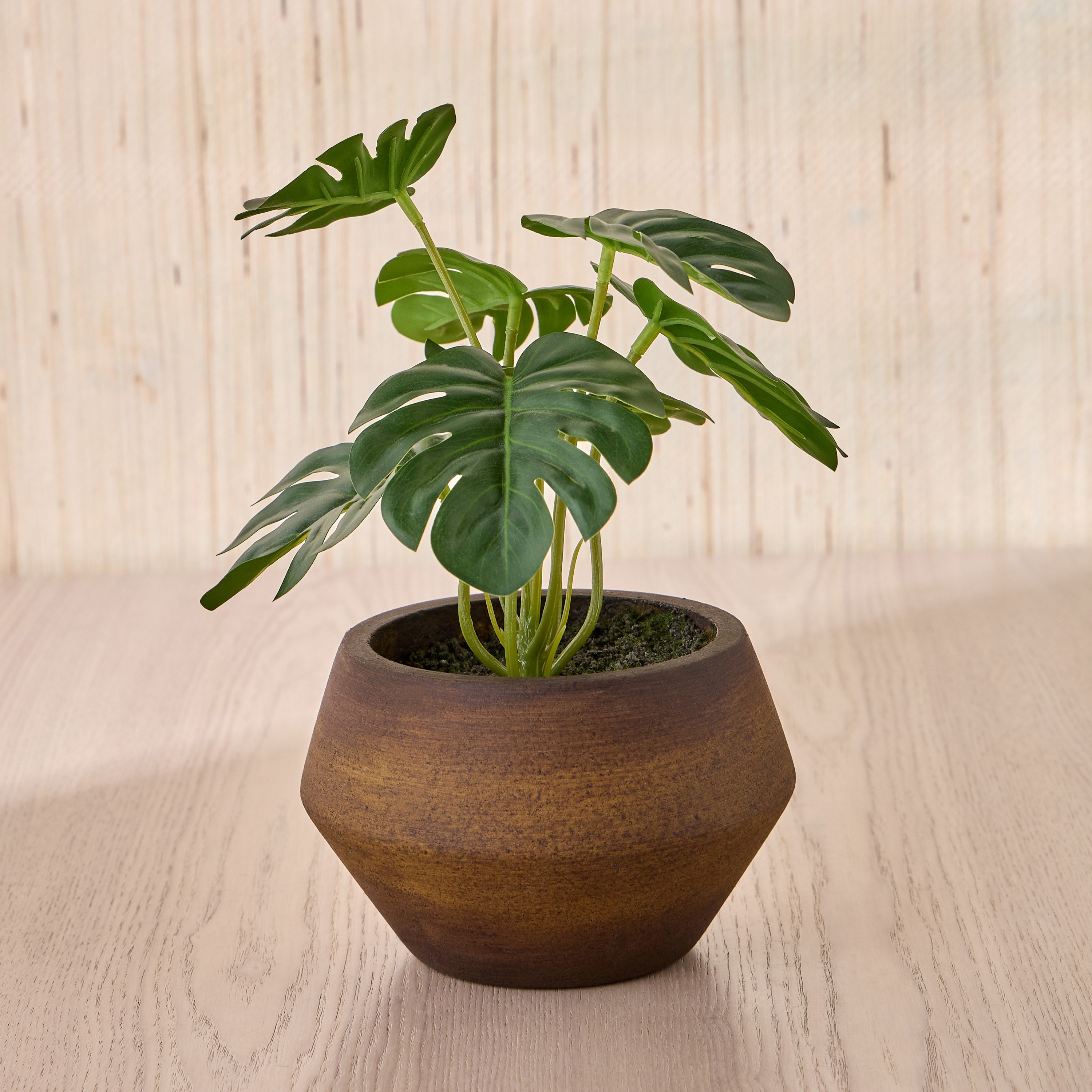 Terra Umber Urn Monstera Plant in Pot - 22 cm-household-gardenandoutdoor-artificialplants-pottedplants-image-1