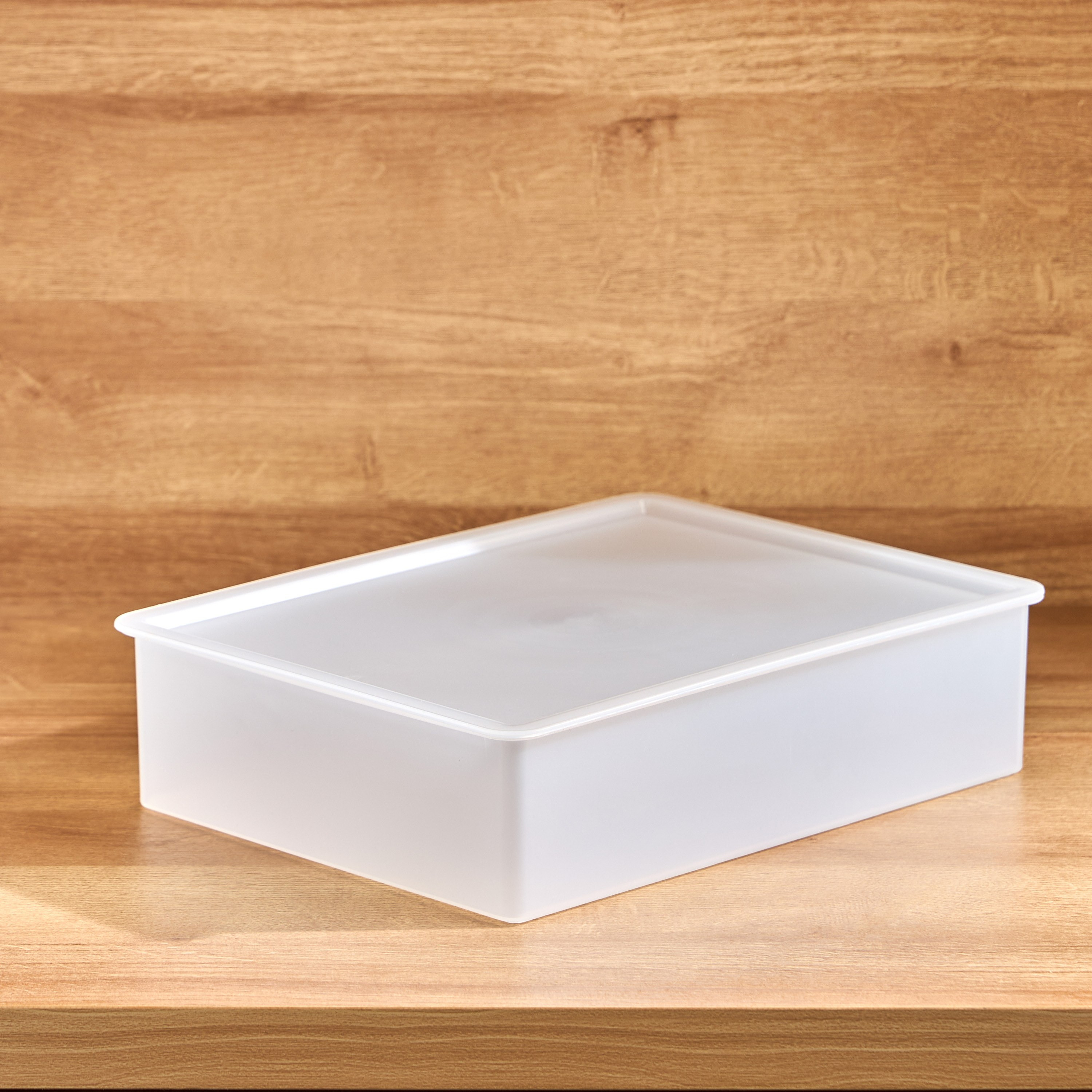 Elsa Frosted Storage Box with Lid - 32x24x8 cm